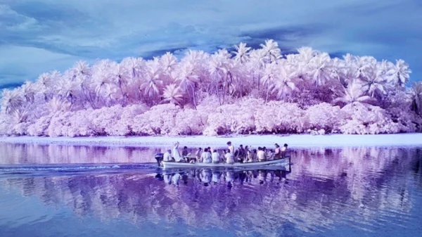 Hòn đảo nơi người dân hầu hết đều bị mù màu: Mọi chuyện bắt đầu vào năm 1775 kenhtingame com thumb hon dao noi nguoi dan hau het deu bi mu mau moi chuyen bat dau vao nam 1775 9e451778428568472 940w