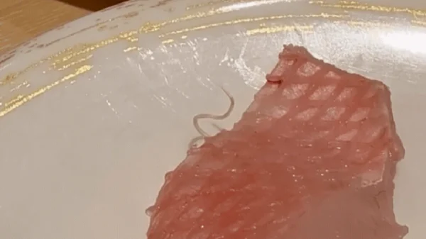Kinh hoàng cảnh sinh vật lạ "ngọ nguậy" bò ra từ miếng cá sống tại nhà hàng sushi nổi tiếng kenhtingame com thumb kinh hoang canh sinh vat la quot ngo nguay quot bo ra tu mieng ca song tai nha hang sushi noi tieng 116a1778680156130 940w