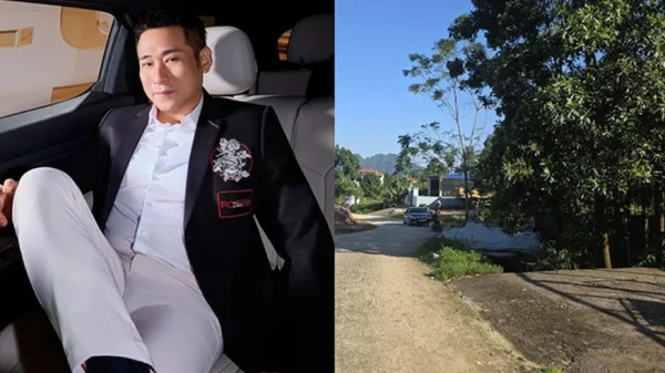 Nam nghệ sĩ, Phó giám đốc Trung tâm Điện ảnh Văn hóa, Thể thao và Du lịch rao bán đất gần 200m2 kenhtingame com thumb nam nghe si pho giam doc trung tam dien anh van hoa the thao va du lich rao ban dat gan 200m2 49551778096097664 940w
