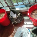 Người cha bật khóc ở tòa, nghẹn lòng hỏi con trai: ‘Sao không làm nghề chân chính?’ kenhtingame com thumb nguoi cha bat khoc o toa nghen long hoi con trai sao khong lam nghe chan chinh 8ca61779615996534 940w