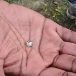 Nhặt được “viên đá lạ” trong công viên, người phụ nữ sốc khi biết đó là báu vật hàng nghìn người cùng tìm kiếm kenhtingame com thumb nhat duoc vien da la trong cong vien nguoi phu nu soc khi biet do la bau vat hang nghin nguoi cung tim kiem aafb1779308278483 940w