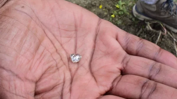 Nhặt được “viên đá lạ” trong công viên, người phụ nữ sốc khi biết đó là báu vật hàng nghìn người cùng tìm kiếm kenhtingame com thumb nhat duoc vien da la trong cong vien nguoi phu nu soc khi biet do la bau vat hang nghin nguoi cung tim kiem aafb1779308278483 940w