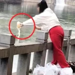 Phát hiện một người phụ nữ đổ hàng chục cốc trà sữa mới nguyên xuống sông để “phóng sinh” kenhtingame com thumb phat hien mot nguoi phu nu do hang chuc coc tra sua moi nguyen xuong song de phong sinh 6b7b1778761947882 940w