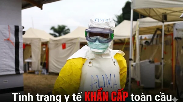 Toàn cảnh dịch bệnh vừa khiến 118 người chết, WHO phải tuyên bố tình trạng y tế khẩn cấp toàn cầu kenhtingame com thumb toan canh dich benh vua khien 118 nguoi chet who phai tuyen bo tinh trang y te khan cap toan cau ec691779206534878 940w
