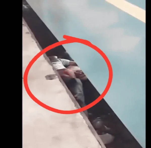 Video: Con trai rơi xuống đường ray, người cha bất chấp tính mạng ôm chặt che chắn kenhtingame com thumb video con trai roi xuong duong ray nguoi cha bat chap tinh mang om chat che chan 6dec1777649450006 940w