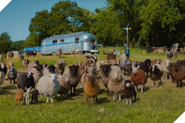 Vì Sao The Sheep Detectives Trở Thành Hiện Tượng Phòng Vé Và Được Giới Phê Bình Ca Ngợi?