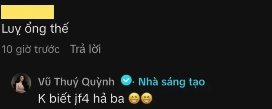 Vũ Thuý Quỳnh nên dừng lại