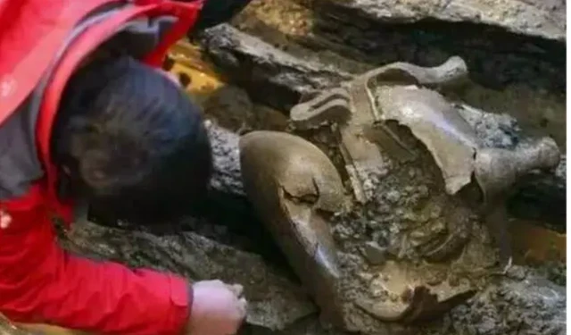 Vừa rút nước khỏi mộ cổ 2.000 năm, nhóm khảo cổ bất ngờ trước bóng đen đang bò ra từ bóng tối
