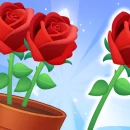 Bloom Match Story game giải đố cho bạn sắp xếp những chậu hoa