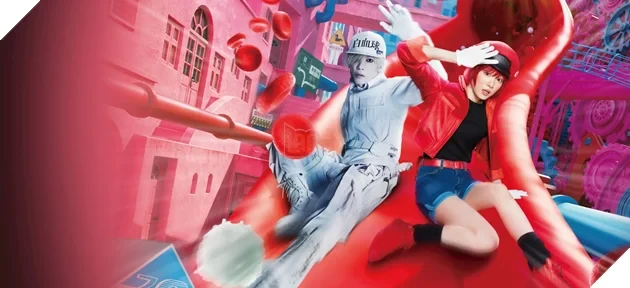 Góc khuất kinh hoàng sau "Hataraku Saibou": Tác giả Shimizu Akane cầu cứu vì bị người thân bạo lực, ép đến mức mắc bệnh tâm lý
