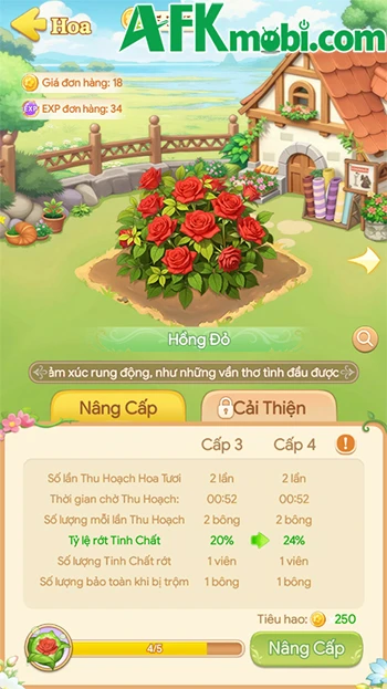 Những điều mà người mới đến với Vườn Hoa Hạnh Phúc cần lưu ý