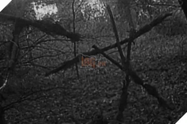 The Blair Witch Project Trở Lại: Bản Remake Dự Kiến Ra Mắt Năm 2027
