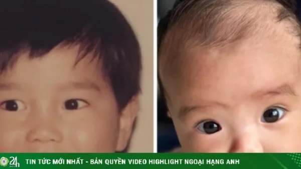 Ảnh sao 2/6: Chồng Ngô Thanh Vân gọi con gái là Huy Trần mini kenhtingame com thumb anh sao 2 6 chong ngo thanh van goi con gai la huy tran mini b93a1780402155736 940w