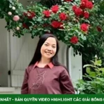 Biệt thự 4.000 m2 ở ngoại ô nước Pháp của nghệ sĩ Lê Vi kenhtingame com thumb biet thu 4000 m2 o ngoai o nuoc phap cua nghe si le vi 3b371782829266913 940w