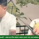 Cao Thái Sơn khoe vườn cây trái trong biệt thự 500 m2 ở Mỹ kenhtingame com thumb cao thai son khoe vuon cay trai trong biet thu 500 m2 o m 33dd1782670462449 940w