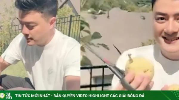 Cao Thái Sơn khoe vườn cây trái trong biệt thự 500 m2 ở Mỹ kenhtingame com thumb cao thai son khoe vuon cay trai trong biet thu 500 m2 o m 33dd1782670462449 940w