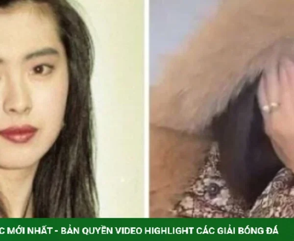 Cuộc sống bình yên của Vương Tổ Hiền sau nhiều năm rời showbiz kenhtingame com thumb cuoc song binh yen cua vuong to hien sau nhieu nam roi showbiz 7b5e1781334524305 940w