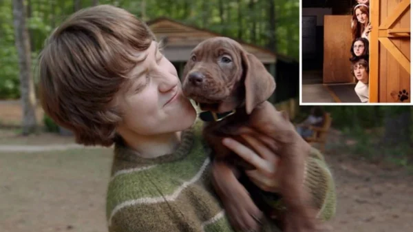 Netflix Hé Lộ Tạo Hình Đầu Tiên Của Scooby-Doo Trong Series Live-Action, Dự Kiến Ra Mắt Năm 2027 kenhtingame com thumb netflix he lo tao hinh dau tien cua scooby doo trong series live action du kien ra mat nam 2027 8e001781014211489 940w