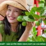 Những góc sống ảo trong khu vườn 4.000 m2 của Tú Oanh kenhtingame com thumb nhung goc song ao trong khu vuon 4000 m2 cua tu oanh d3df1782888699115 940w