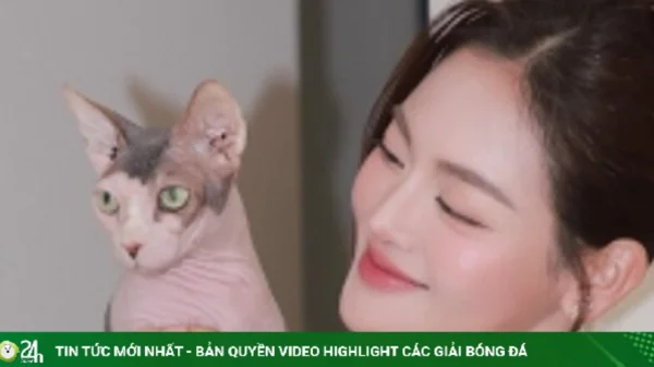 Thùy Anh tằn tiện từng đồng để chăm sóc 5 đứa con thơ kenhtingame com thumb thuy anh tan tien tung dong de cham soc 5 dua con tho ef7a1782840326321 940w