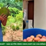 Vườn trái sai trĩu cành ở quê nhà của Mạc Văn Khoa kenhtingame com thumb vuon trai sai triu canh o que nha cua mac van khoa 5a4a1782125444593 940w