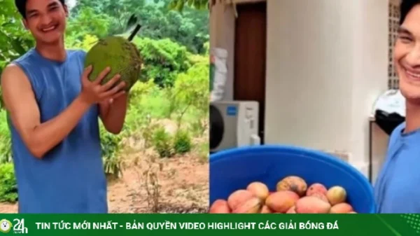 Vườn trái sai trĩu cành ở quê nhà của Mạc Văn Khoa kenhtingame com thumb vuon trai sai triu canh o que nha cua mac van khoa 5a4a1782125444593 940w