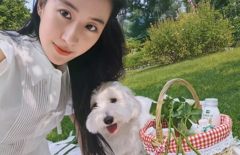 Cuộc sống không kết hôn của Lưu Diệc Phi