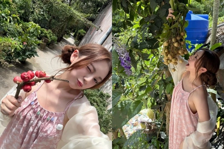 Hari Won dẫn hot girl Hàn Quốc khám phá miền Tây