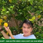 Đàm Vĩnh Hưng khoe cây trái trĩu cành trong biệt thự ở Mỹ kenhtingame com thumb dam vinh hung khoe cay trai triu canh trong biet thu o m 85601783782569616 940w