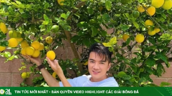 Đàm Vĩnh Hưng khoe cây trái trĩu cành trong biệt thự ở Mỹ kenhtingame com thumb dam vinh hung khoe cay trai triu canh trong biet thu o m 85601783782569616 940w