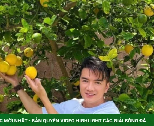 Đàm Vĩnh Hưng khoe cây trái trĩu cành trong biệt thự ở Mỹ kenhtingame com thumb dam vinh hung khoe cay trai triu canh trong biet thu o m 85601783782569616 940w