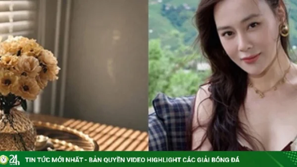 Phương Oanh chia sẻ khoảnh khắc đời thường, nhận được sự đồng cảm từ khán giả kenhtingame com thumb phuong oanh chia se khoanh khac doi thuong nhan duoc su dong cam tu khan gia e4c91783154139323 940w