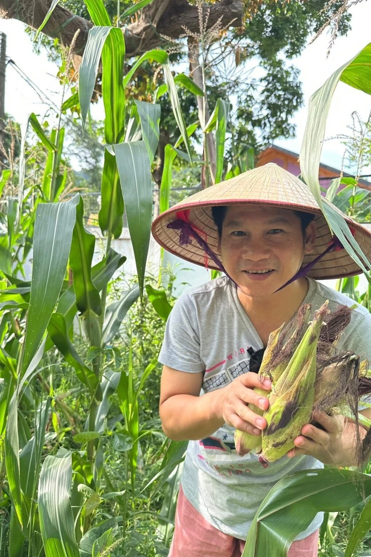 Trọng Tấn thu hoạch ngô tím, sim chín ở khu nghỉ dưỡng 4.000 m2 Trọng Tấn thu hoạch ngô tím, sim chín ở khu nghỉ dưỡng 4.000 m2
