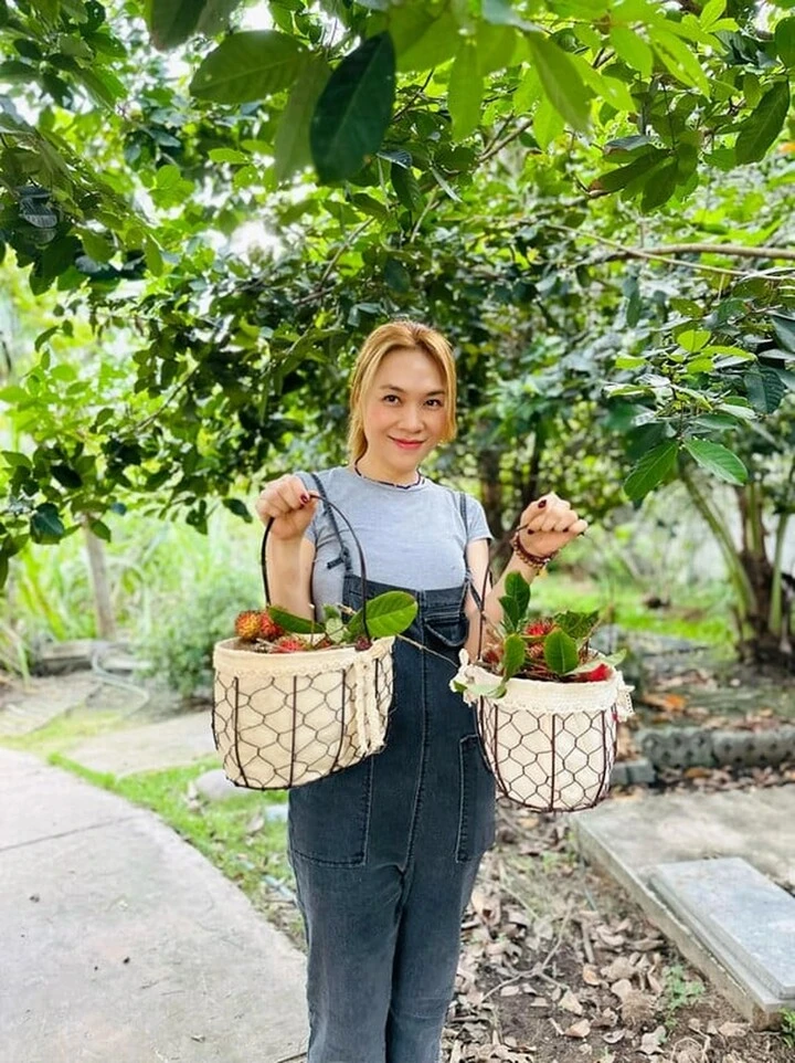 Vì sao Mỹ Tâm có biệt danh Hoạ mi tóc nâu?