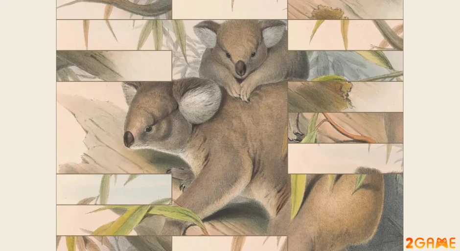 Art of Fauna: Cozy Puzzles game giải đố thư giãn dành cho người yêu thiên nhiên Art of Fauna: Cozy Puzzles game giải đố thư giãn dành cho người yêu thiên nhiên