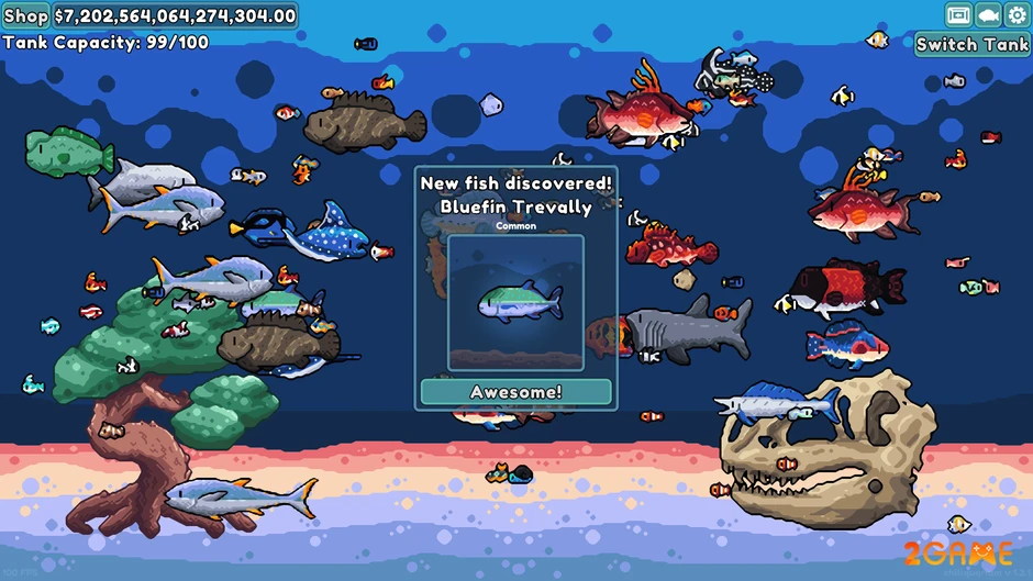 Chillquarium chính thức ra mắt trên mobile, mang trải nghiệm nuôi cá nhàn rỗi đầy thư giãn