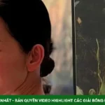 Ảnh sao 22/8: Kim Hiền thấy bình yên khi về nước kenhtingame com thumb anh sao 22 8 kim hien thay binh yen khi ve nuoc 16be1787361052655 940w