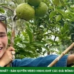 Cát Tường khoe hoa trái sum suê trong vườn nhà ở Australia kenhtingame com thumb cat tuong khoe hoa trai sum sue trong vuon nha o australia 2c7f1787436255842 940w