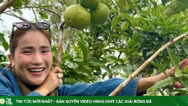 Cát Tường khoe hoa trái sum suê trong vườn nhà ở Australia kenhtingame com thumb cat tuong khoe hoa trai sum sue trong vuon nha o australia 2c7f1787436255842 940w