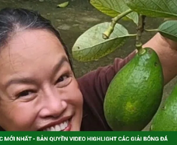 Tú Oanh thu hoạch hàng chục kg bơ ở khu vườn 4.000 m2 kenhtingame com thumb tu oanh thu hoach hang chuc kg bo o khu vuon 4000 m2 dda21788213856619 940w