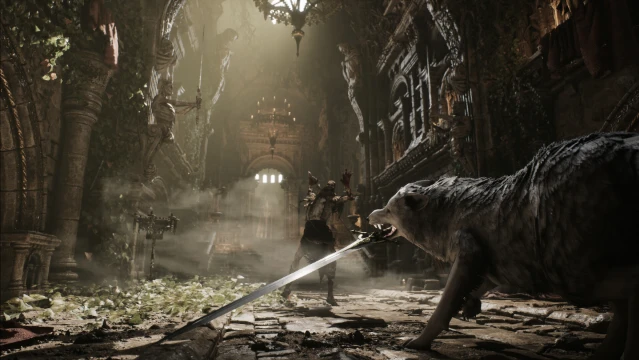 Game Soulslike Stray Dog: Nhập vai chú chó hoang ngậm kiếm chiến đấu mãn nhãn trên Steam