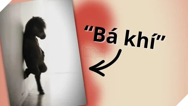 “Bá khí” là gì? Nguồn gốc của meme đang phủ sóng mạng xã hội