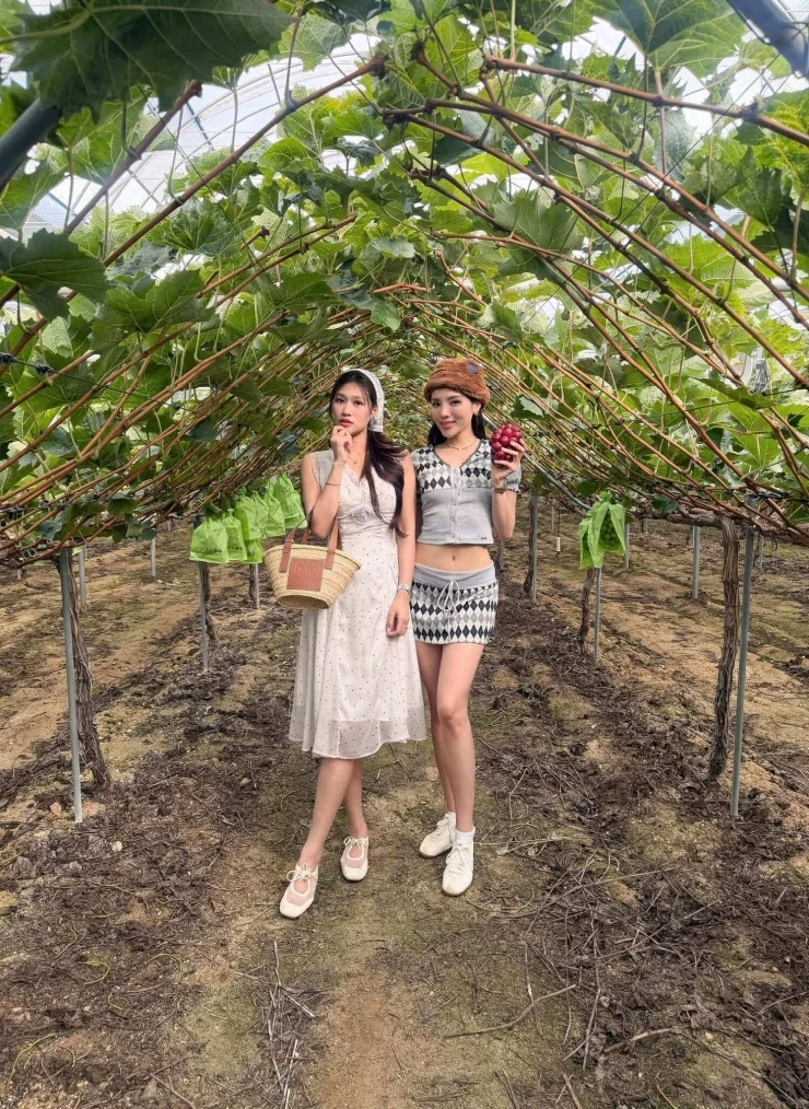Ảnh sao 13/9: Nhà Thu Trang - Tiến Luật thăm miệt vườn quê ngoại Ảnh sao 13/9: Nhà Thu Trang - Tiến Luật thăm miệt vườn quê ngoại