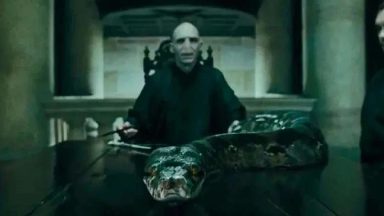Giải mã tất cả 7 Trường Sinh Linh Giá trong Harry Potter: Báu vật, sinh vật và bí mật nghiệt ngã của Voldemort