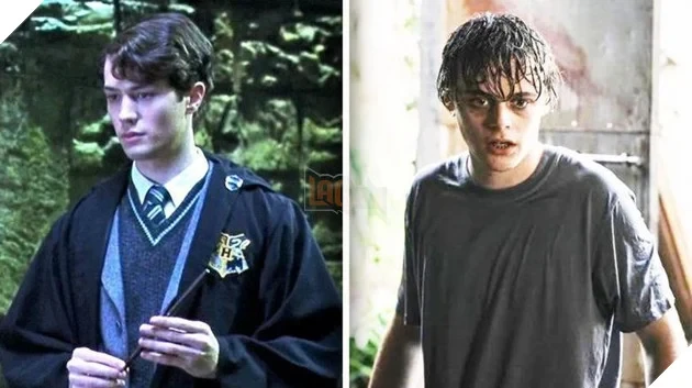 Harry Potter của HBO xác nhận thông tin về Tom Riddle, dập tắt tin đồn đổi giới tính Voldemort