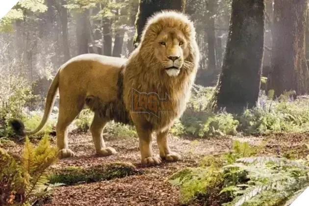 Nhà Làm Phim Greta Gerwig Tiết Lộ Lý Do Chọn Meryl Streep Lồng Tiếng Aslan Trong Narnia Nhà Làm Phim Greta Gerwig Tiết Lộ Lý Do Chọn Meryl Streep Lồng Tiếng Aslan Trong Narnia