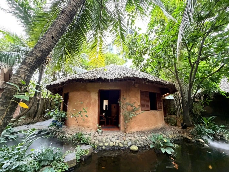 Nhà vườn gần 2.000 m2 của Johnny Trí Nguyễn ở TP HCM Nhà vườn gần 2.000 m2 của Johnny Trí Nguyễn ở TP HCM