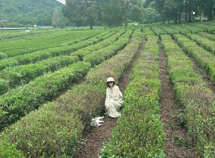 Nhịp sống chậm của ni cô đẹp nhất Tiếu ngạo giang hồ