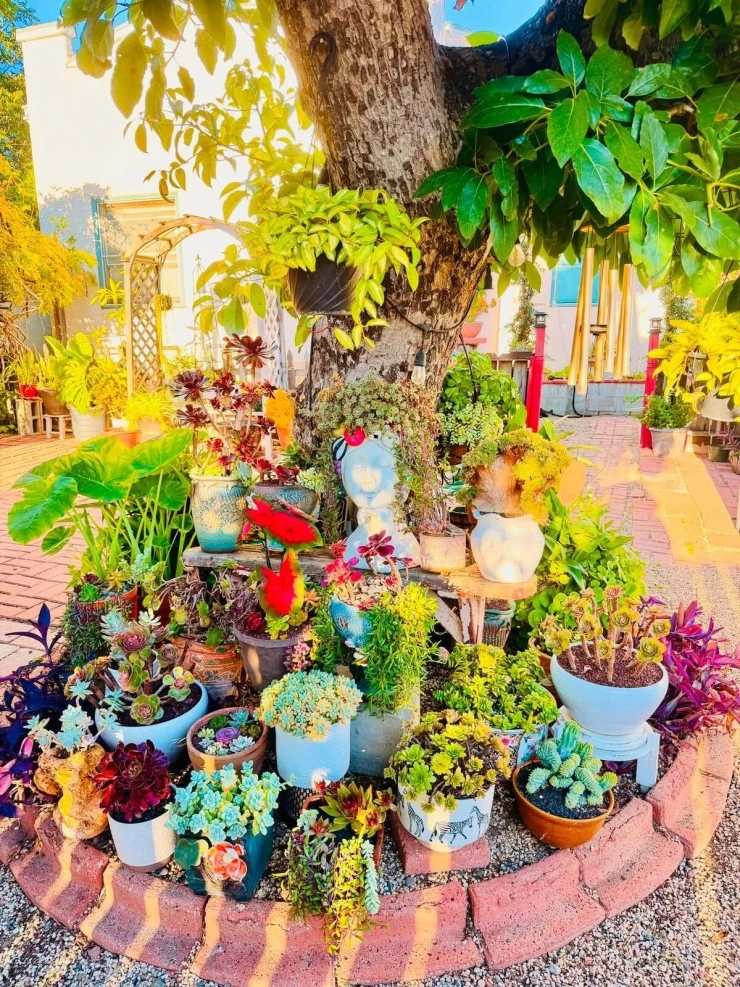 Niềm vui vườn tược của Thúy Nga ở Mỹ Niềm vui vườn tược của Thúy Nga ở Mỹ