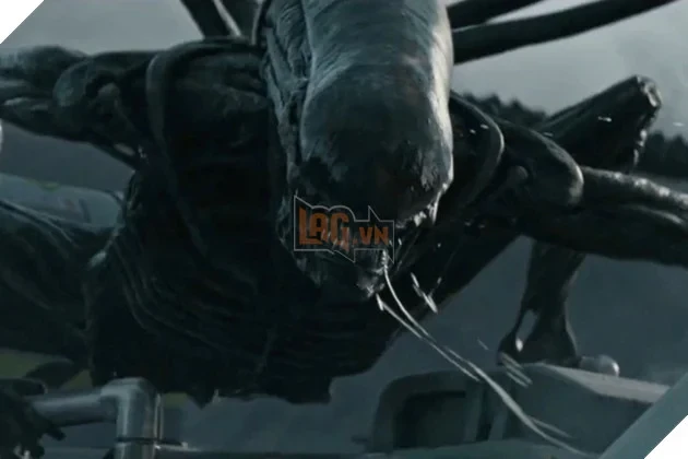 Ridley Scott Tiết Lộ Bí Quyết Đạo Diễn Sau Hơn 50 Năm Làm Nghề